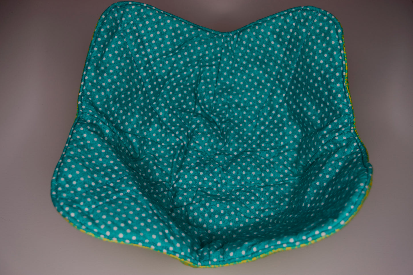 Aqua Dots / Yellow and Blue Flowers XL Bowl Cozy