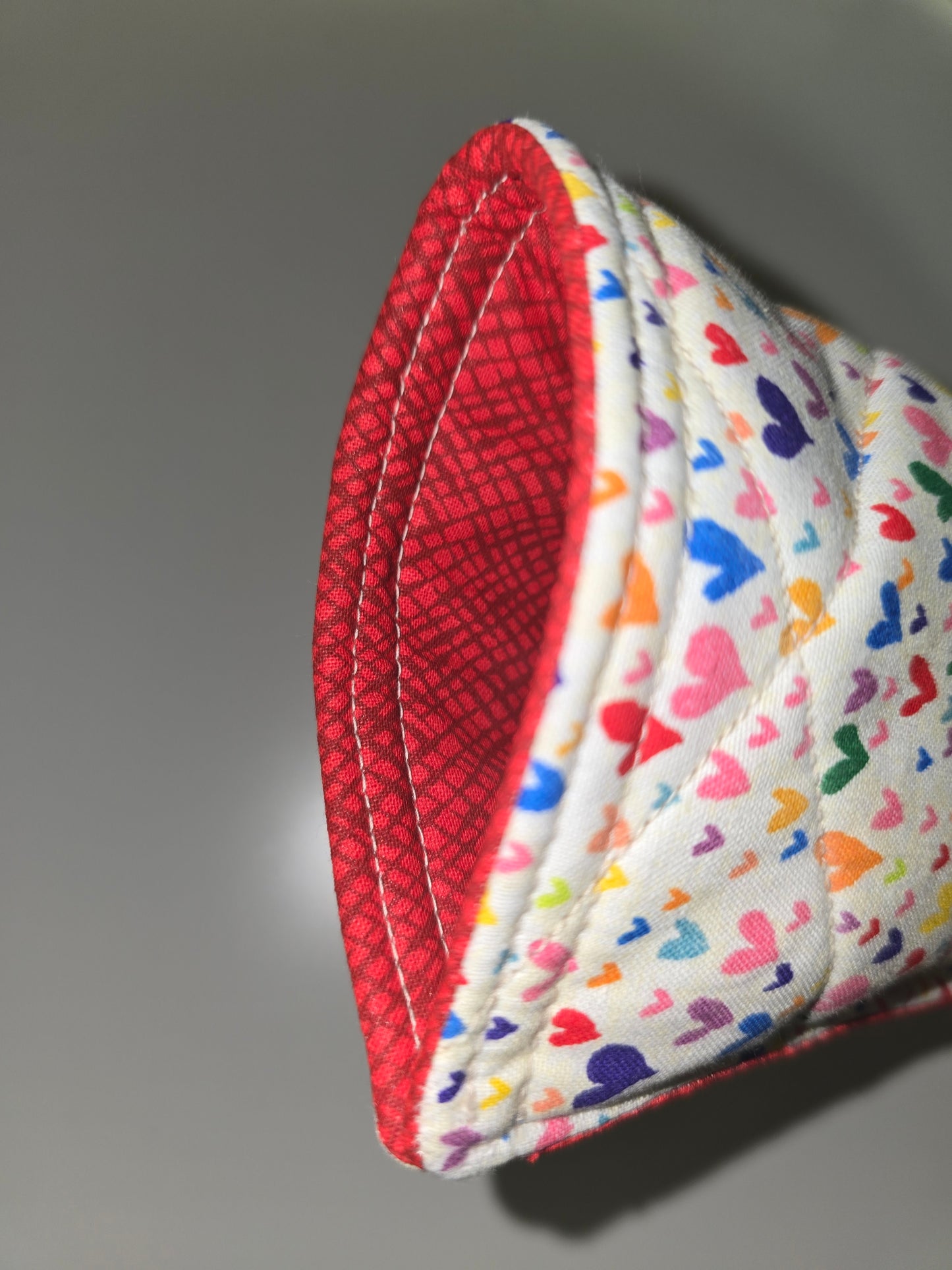 Rainbow Hearts / Red Lattice Hair Tool Case