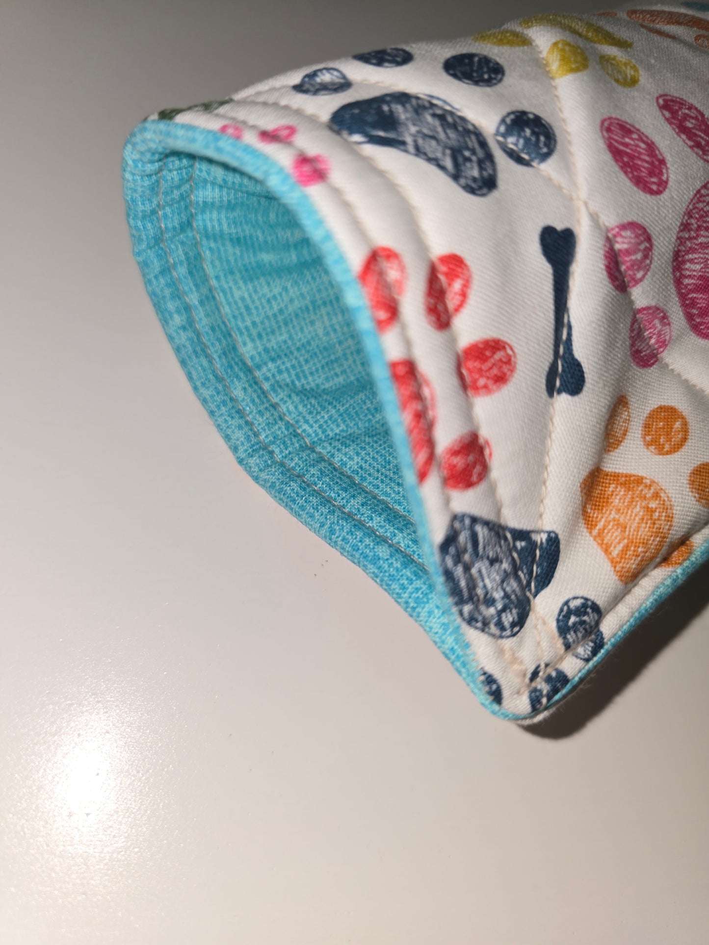 Rainbow Paws/ Blue Hair Tool Case